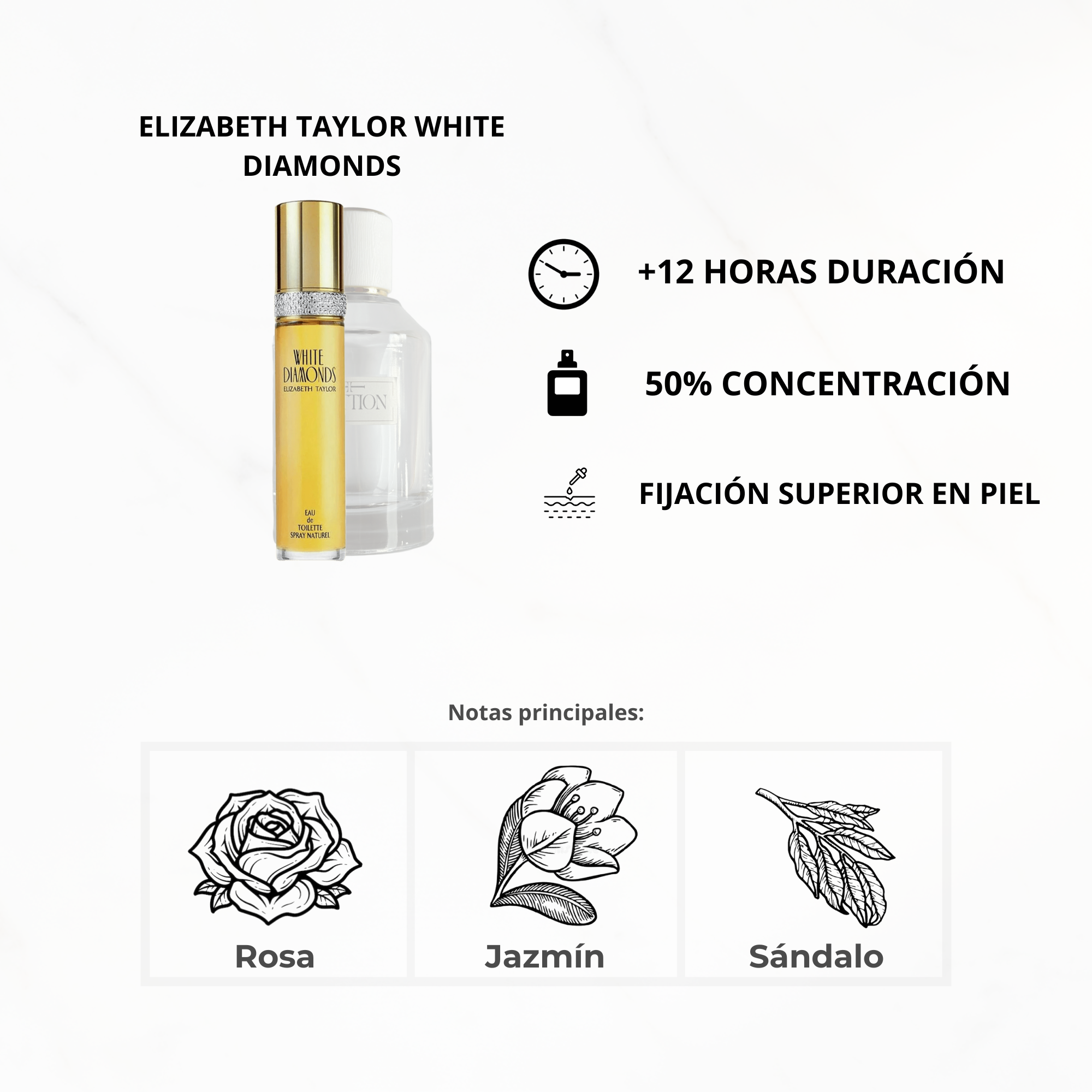 Colección Maestra