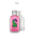 Ralph Lauren Big Pony 2